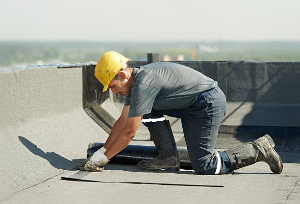 Best Wall Insulation Contractor  in Tylertown, MS